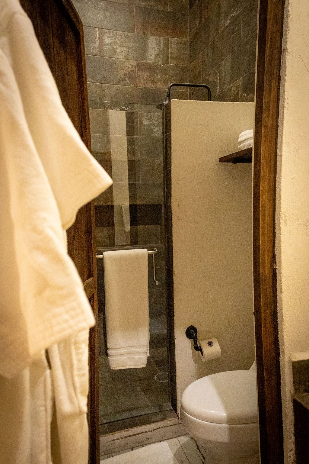 Bathroom with shower, toilet, and robe. Beige walls and dark wooden trim. White towel hangs on glass door.