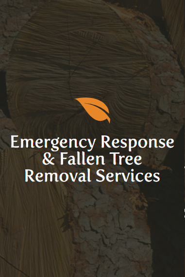 Bentley Tree Care LLC. | Tree Services | Emergency Response & Removal