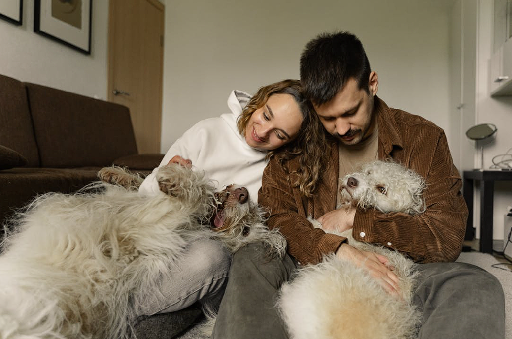 Couple smiling and cuddling two fluffy white dogs on living room floor