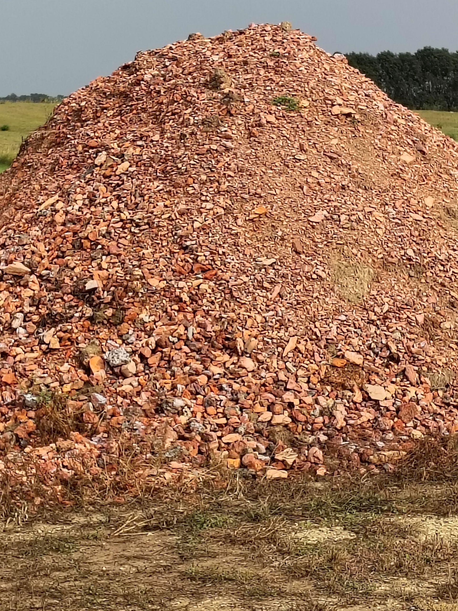 Pile of red broken bricks in a grassy field, against a backdrop of trees and sky.