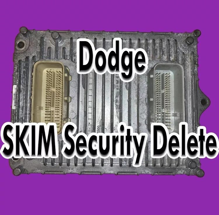 A dodge skim security delete is shown on a purple background