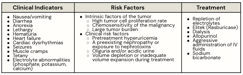Chart outlining clinical indicators, risk factors, and treatment details for tumor lysis syndrome