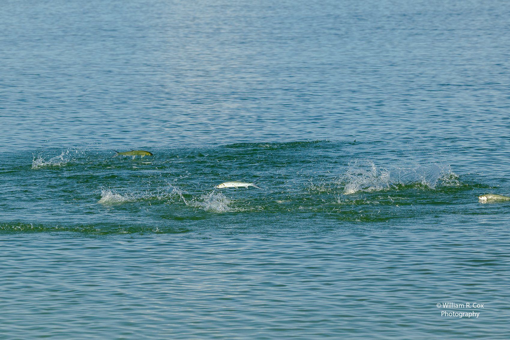 Waterscape Photography/Nature Photography