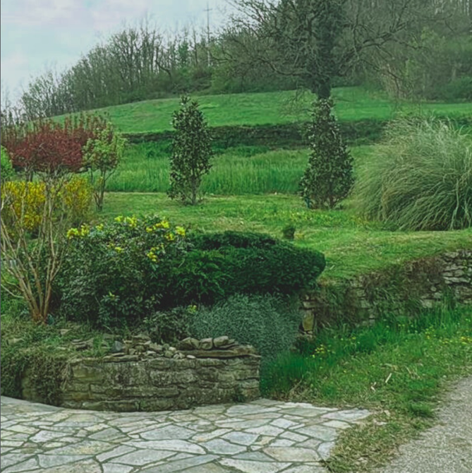 Sentiero in pietra e giardino a più livelli con varie piante e collina erbosa sullo sfondo.