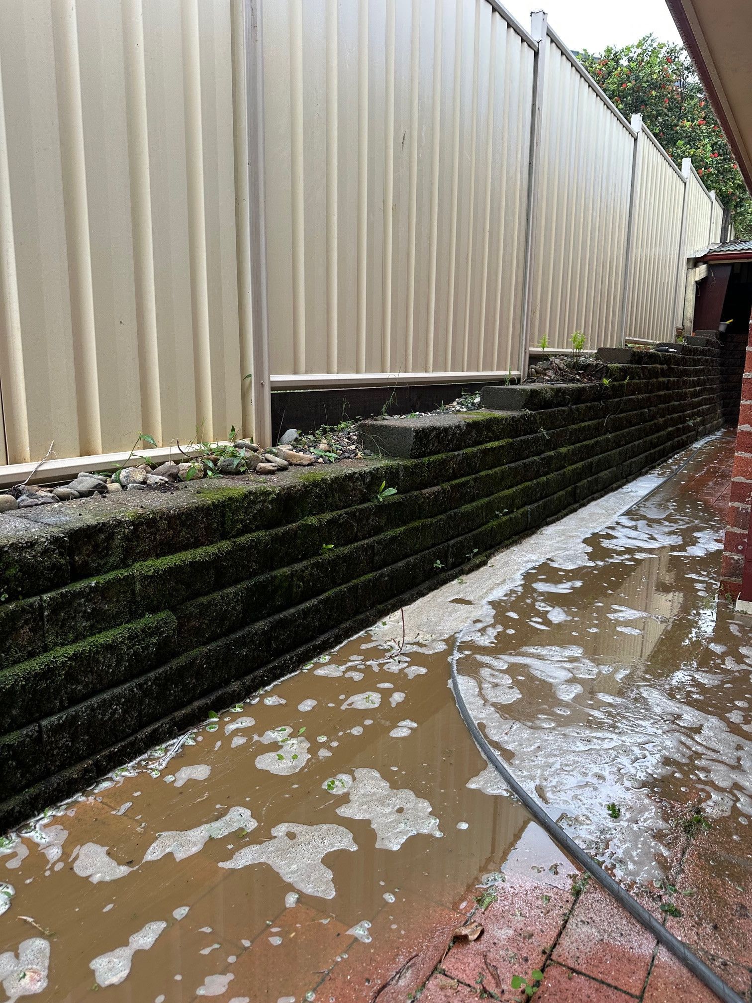 Brick Patio Flooded With Murky Water Next to Mossy Concrete — Blast It Pressure Cleaning - Gold Coast In Gold Coast, QLD