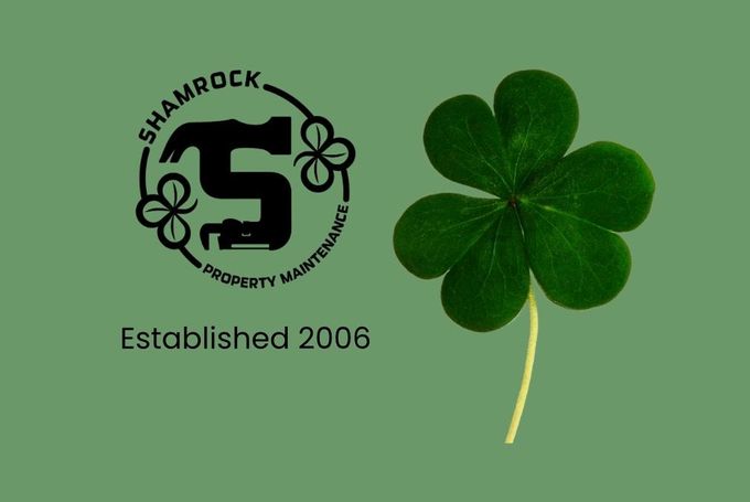 Group of five people standing behind a wooden counter with American flag backdrop and Shamrock logo.