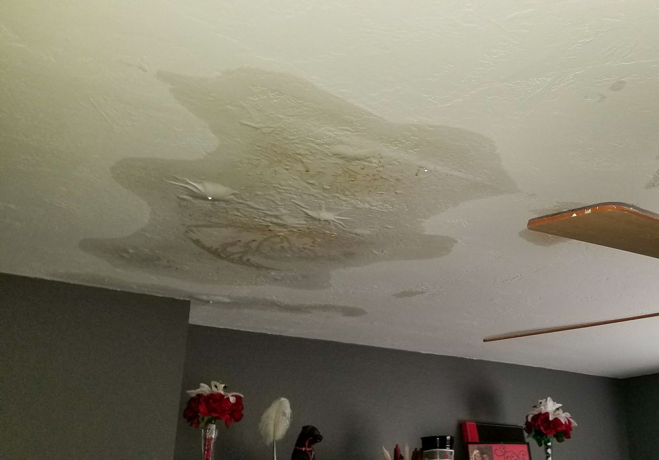 A large, dark water stain with bubbling paint on a ceiling above a room with dark gray walls and ceiling fan blades.