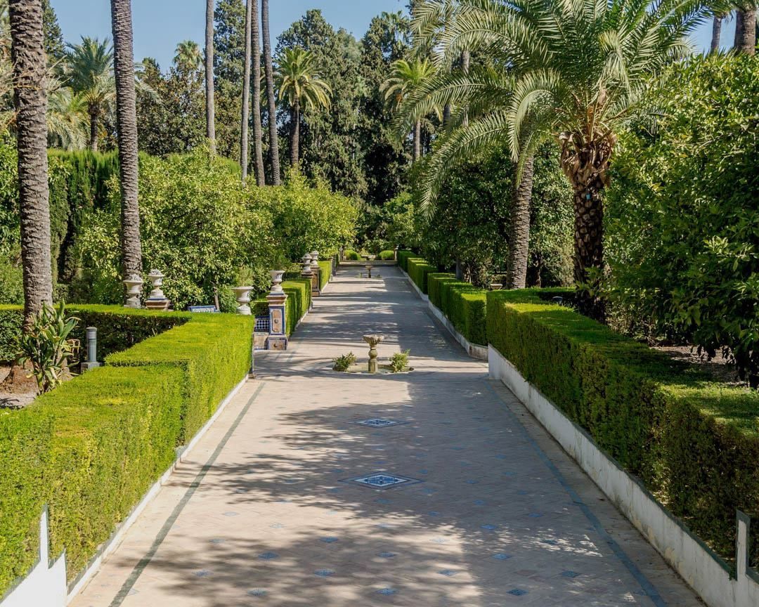 A path in a park surrounded by trees and bushes