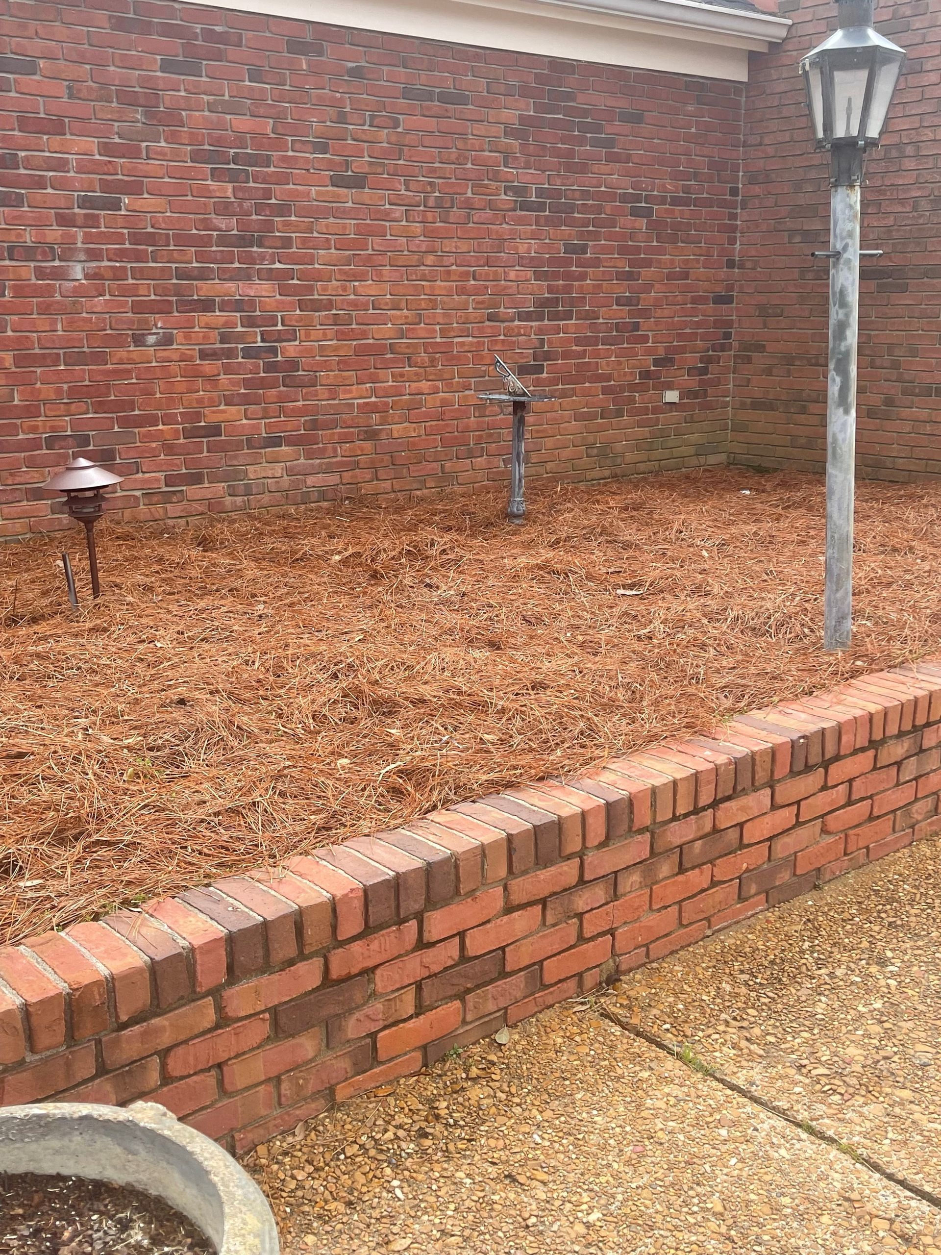 There is a brick wall in the background and a lamp post in the foreground.