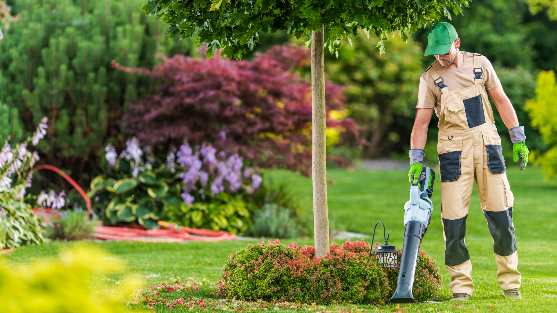 A man is blowing leaves from a tree in a garden.