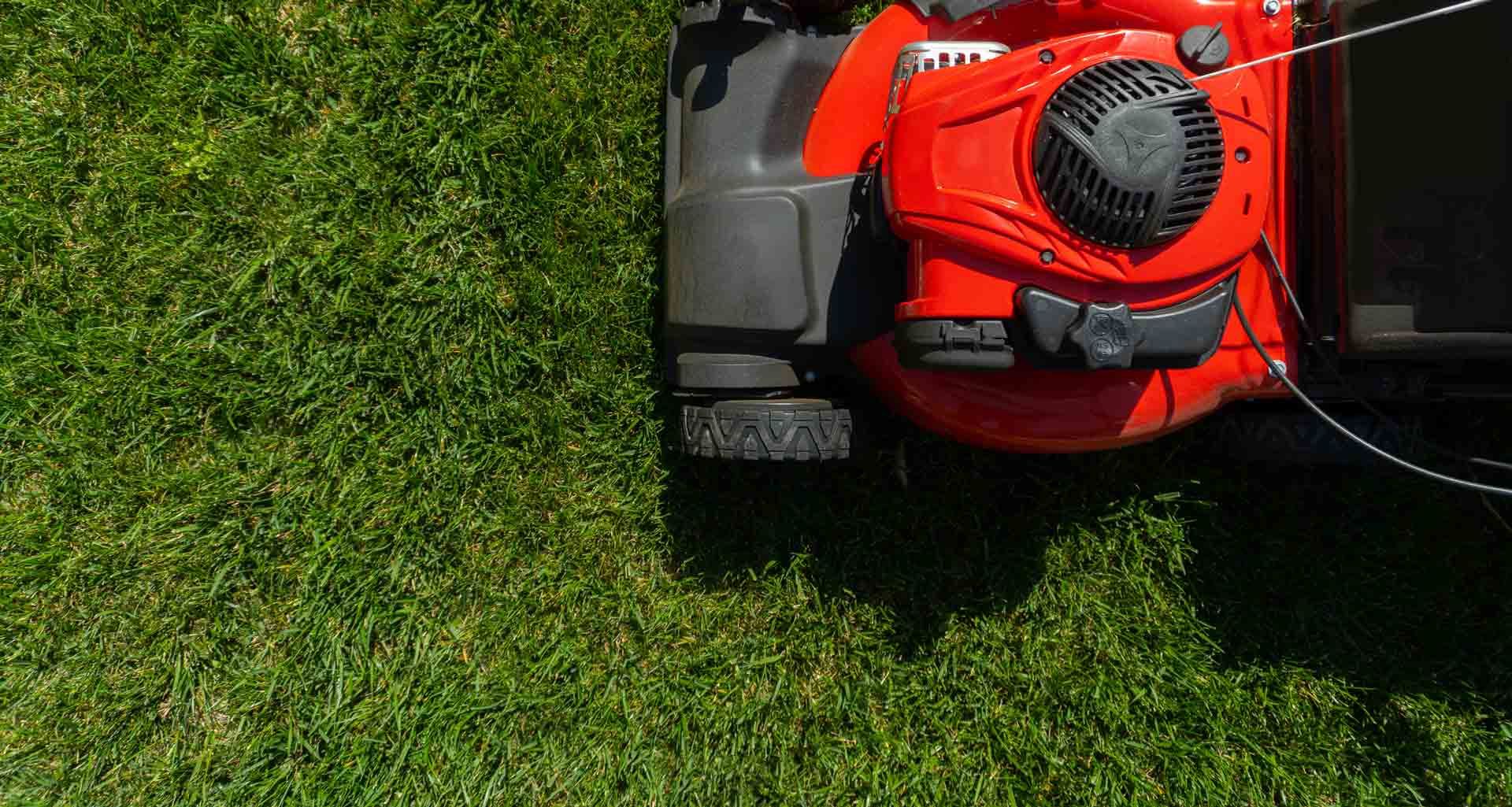 Red lawn mower cutting grass on a green lawn from an overhead view