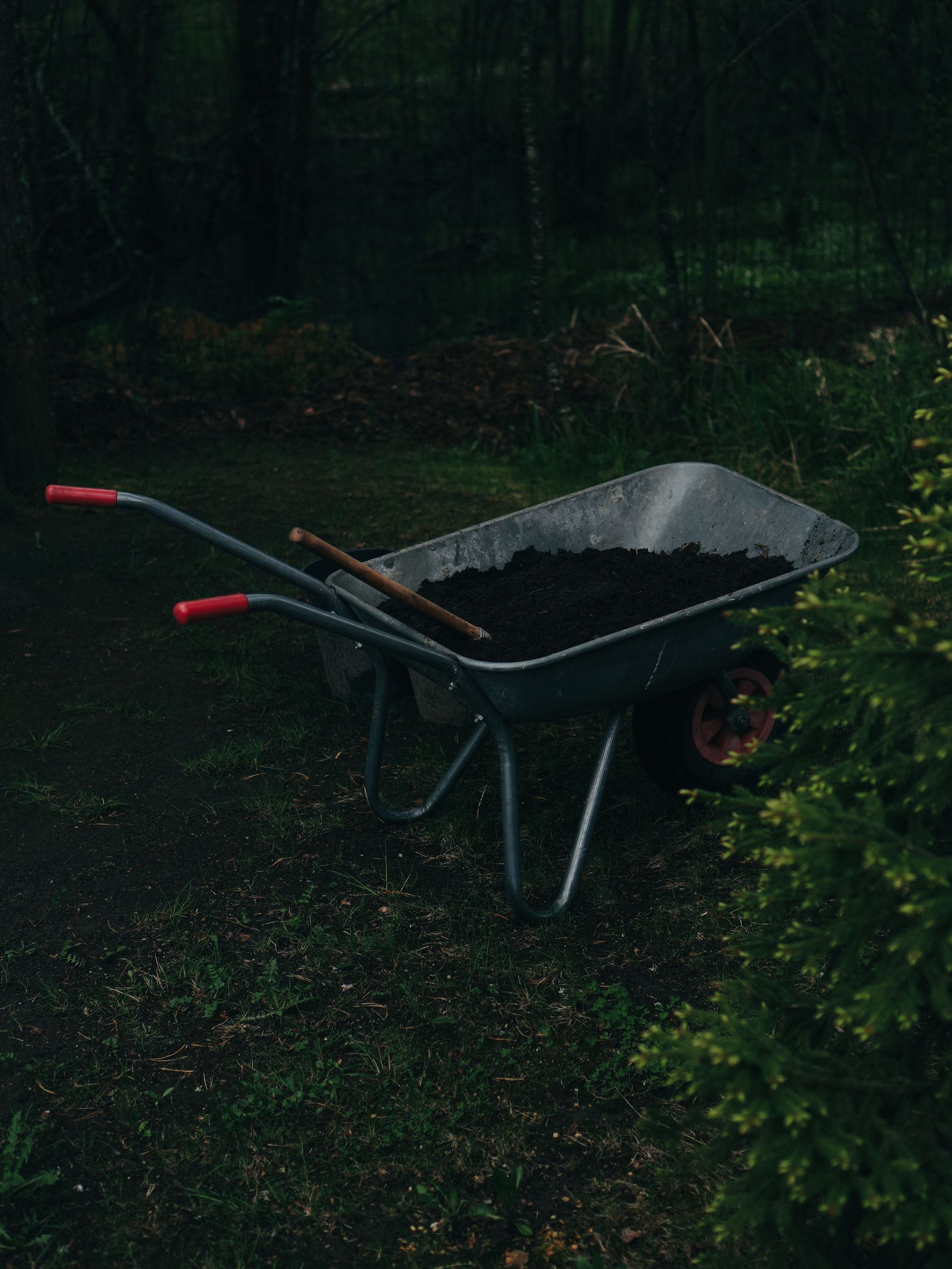 Two-handled wheelbarrow in a dark garden, filled with leaves and debris.