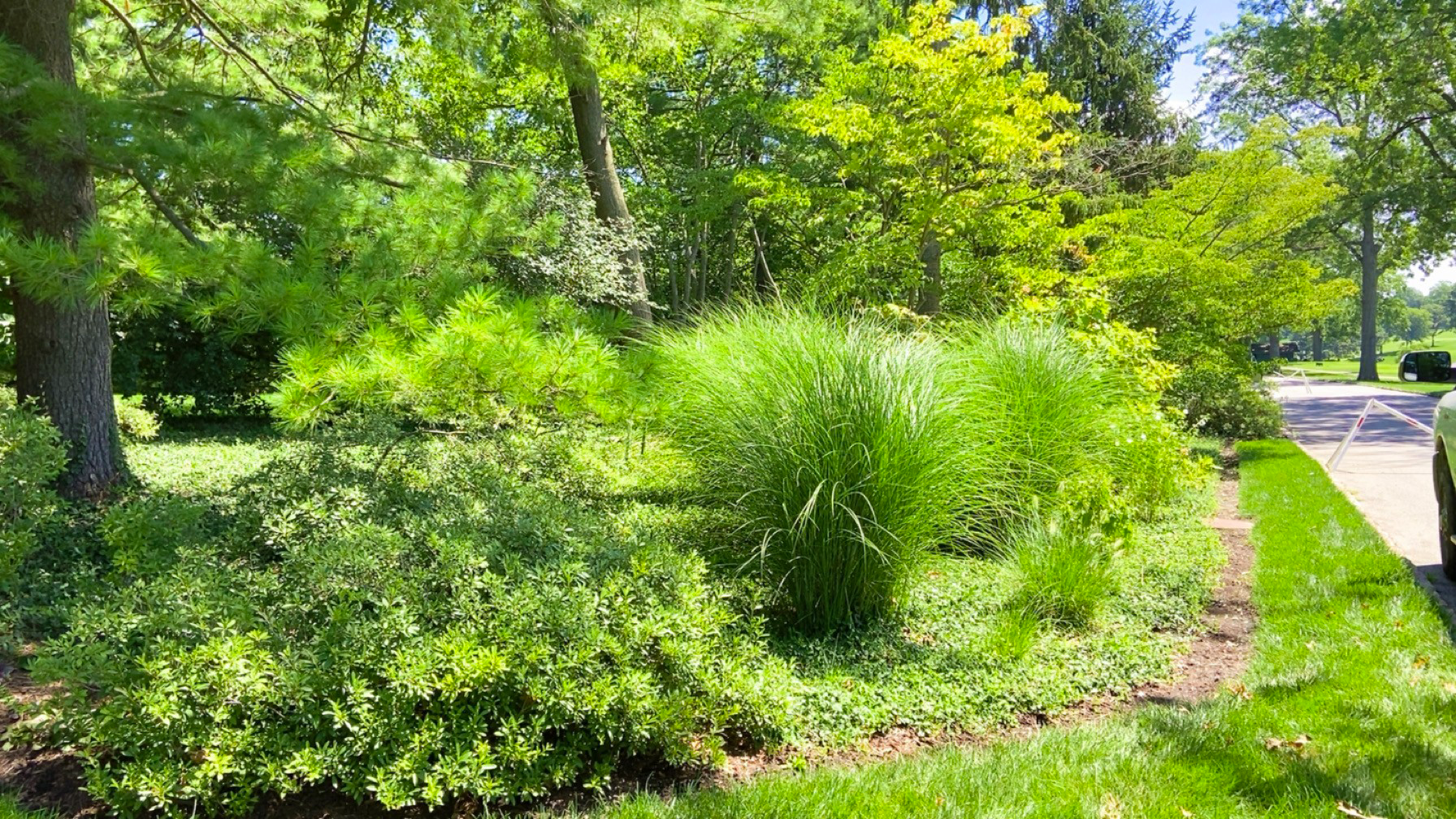 Turf Specialist | Fenton, MO | Rex Rieger Landscaping | Weed Control ...