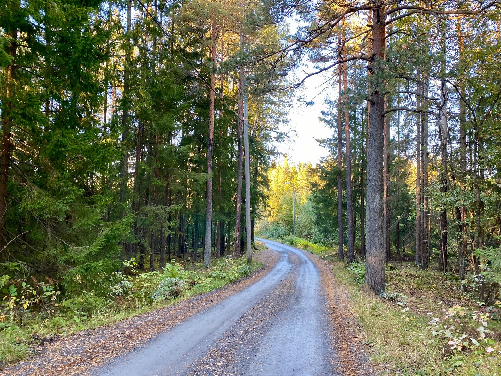 Bli med p&aring; vandring i Kroken