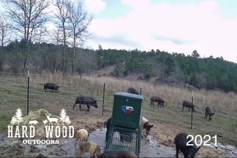 group hunt 27