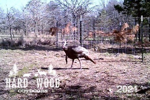 group hunt 30