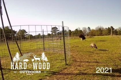 group hunt 32