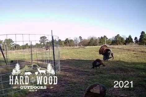 group hunt 33