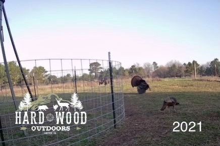 group hunt 35