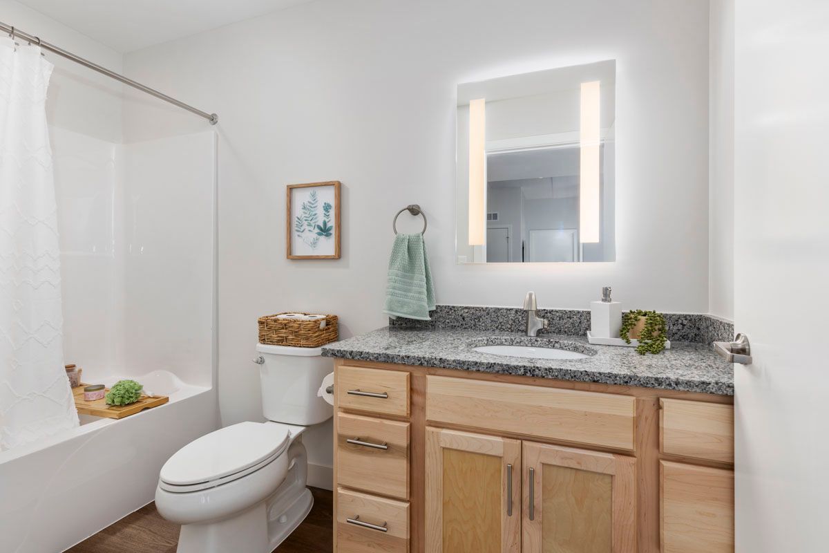 Modern bathroom with granite vanity, lit mirror, toilet, and bathtub with a curtain