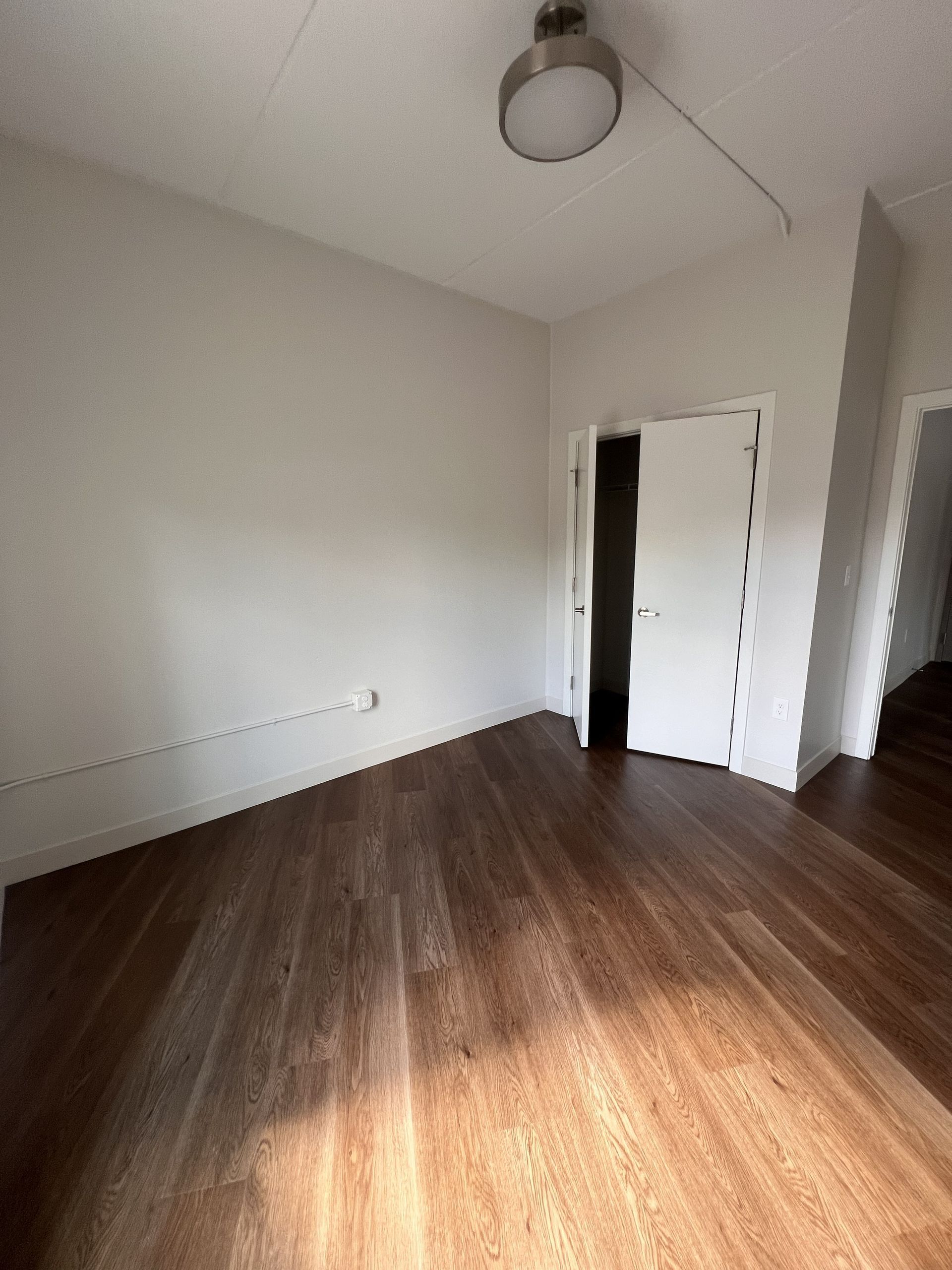 Empty white room with wood floor, ceiling light, and an open door.