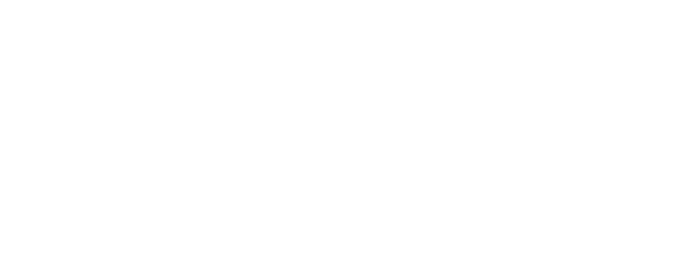 Mostly blank white image with a faint gray line across the lower middle and black border at the bottom.