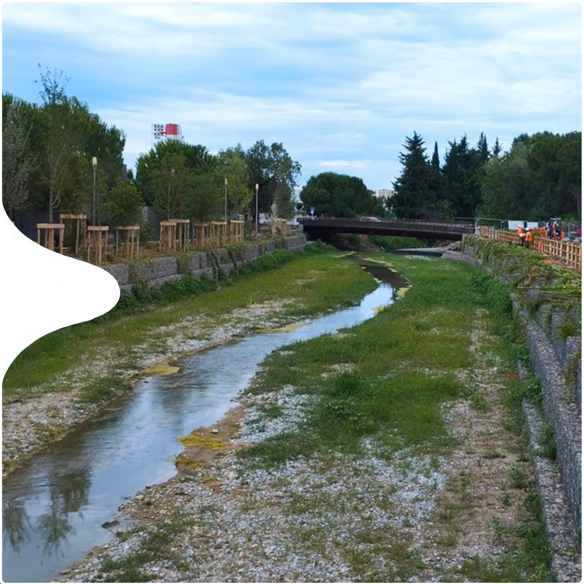 génie écologique et renaturation Genève