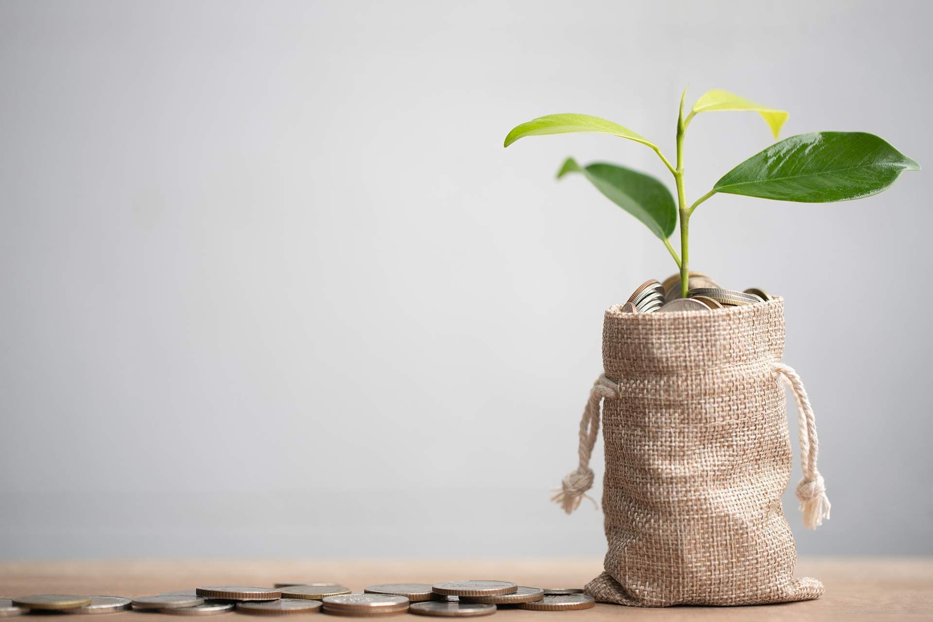 Small green plant growing from a burlap sack on a wooden surface with coins nearby