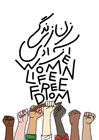 FreeIranHTX Logo