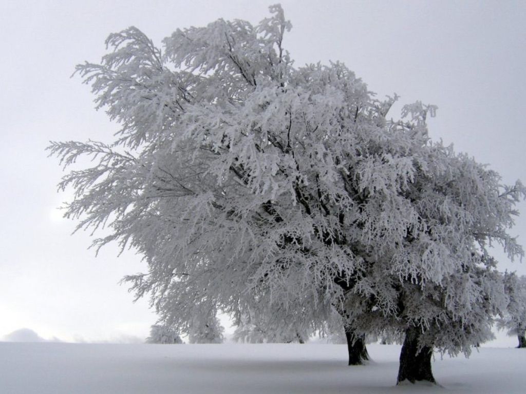 Extreme Weather can effect your solar grid integration and solar panel durability
