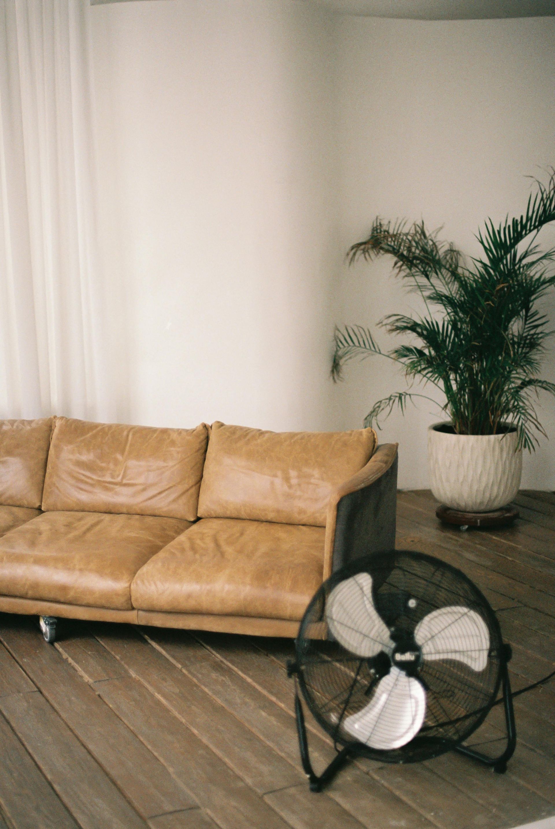 pexels photo