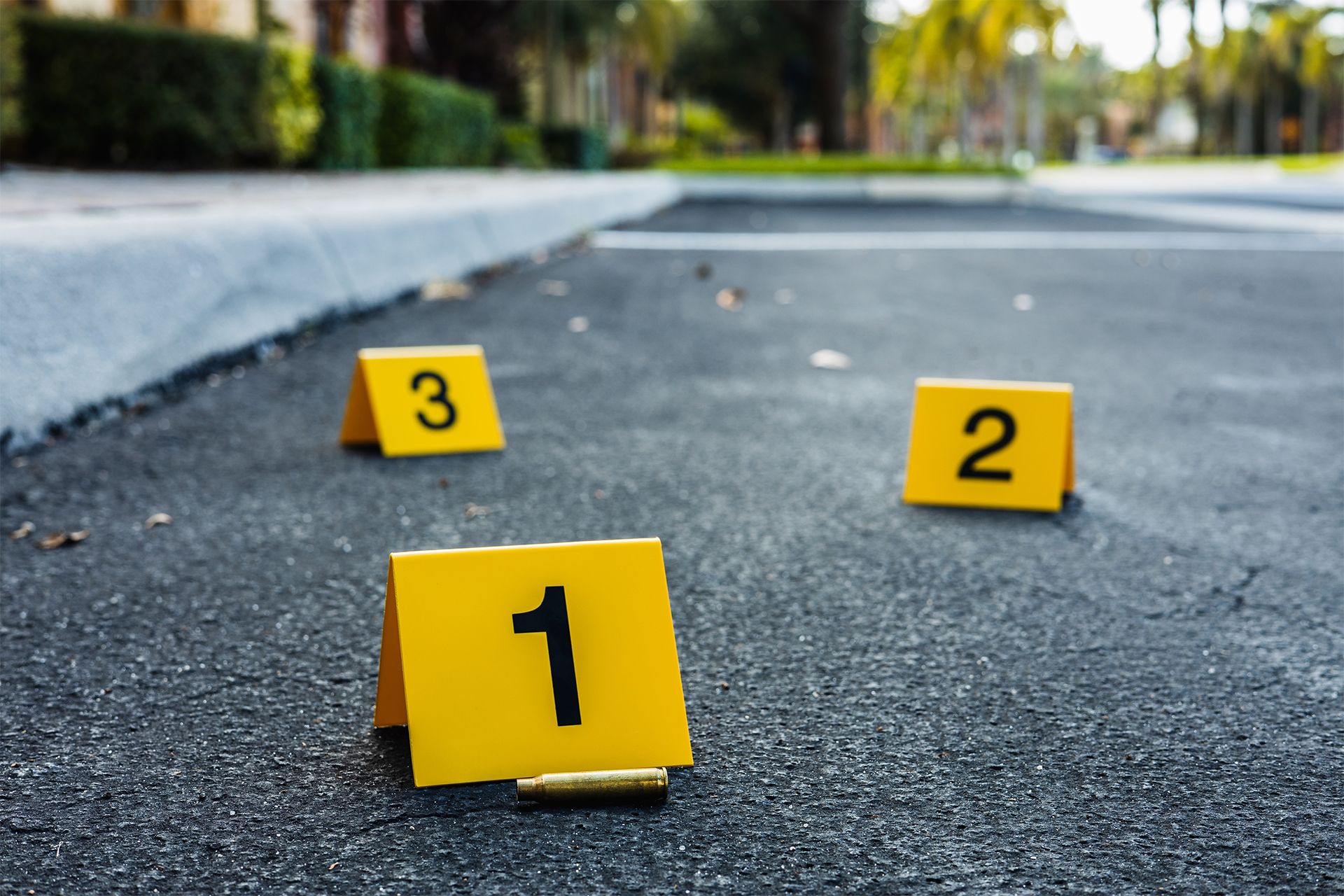 Crime Scene