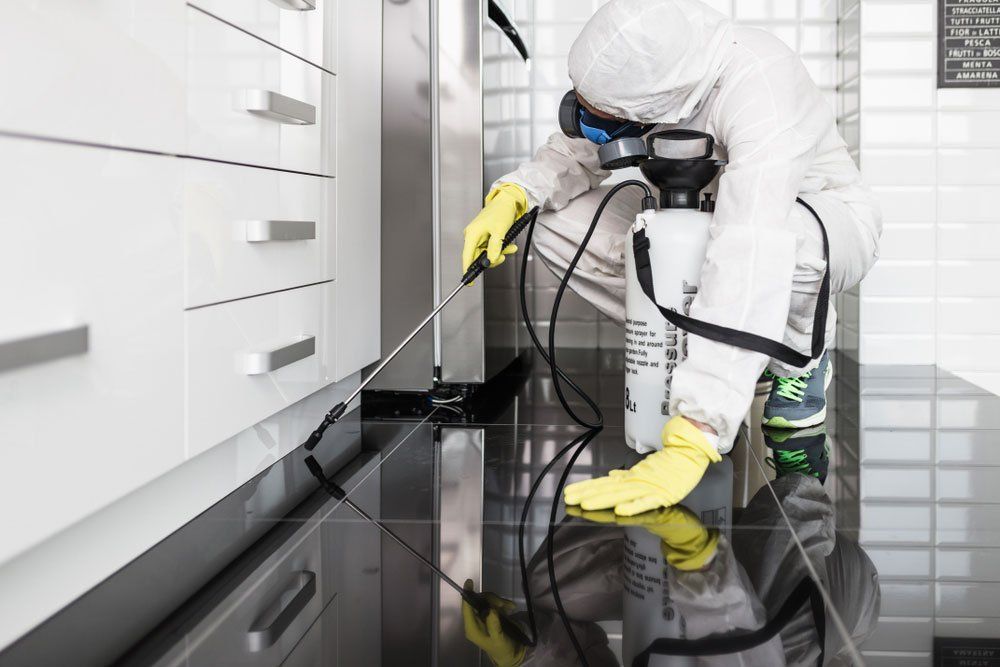 A Man in a Protective Suit is Spraying a Room With a Sprayer — Territory Pest Control In Winnellie, NT
