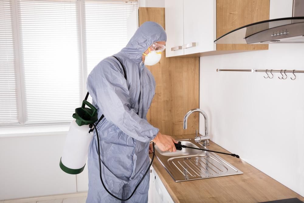 A Man in a Protective Suit is Spraying a Sink in a Kitchen — Territory Pest Control In Alice Springs, NT