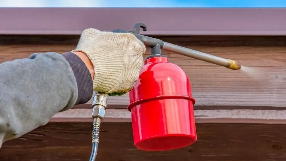 Process Of Termite Treatment In Darwin