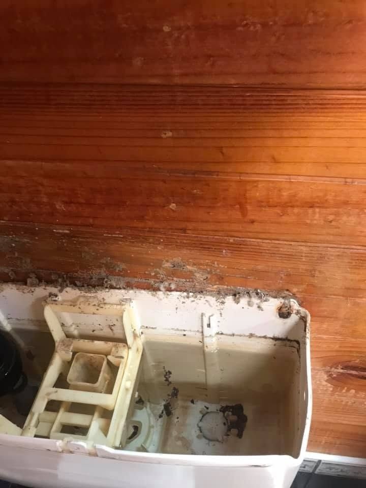 Toilet with Significant Mold Growth in Darwin