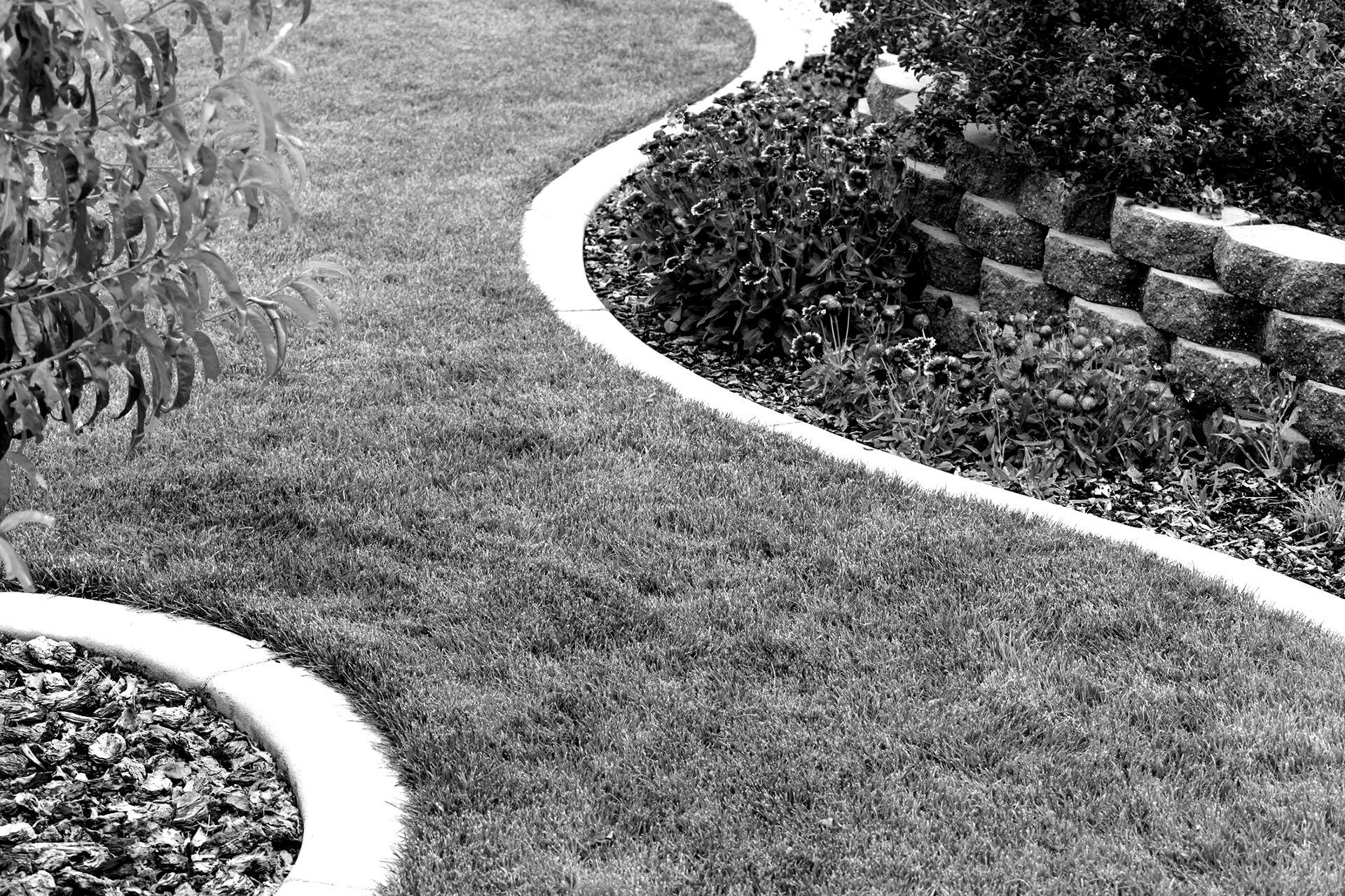 Black and White Image Displaying Decorative Curbs and Various Plants