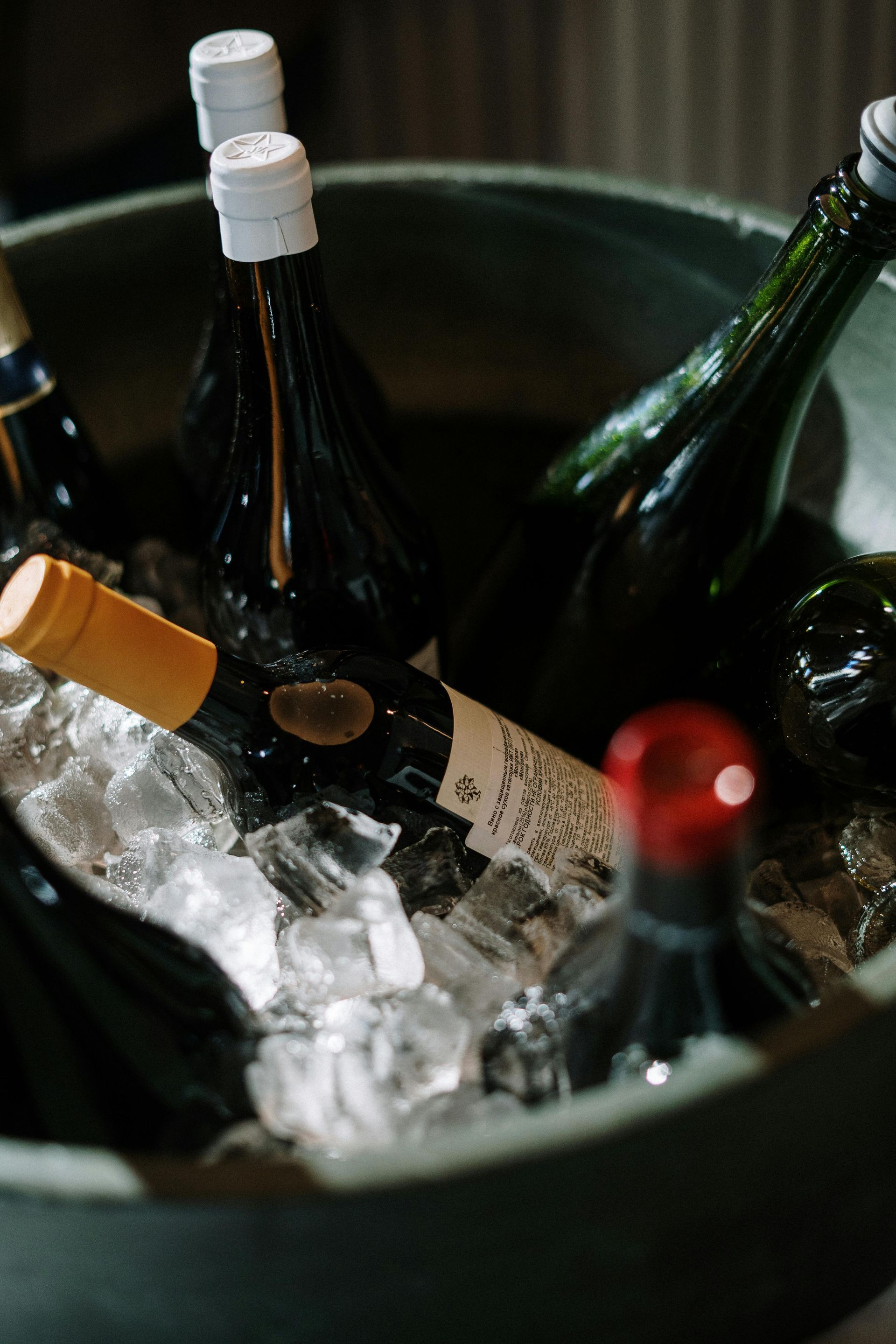 Bouteilles de vin rafraîchies dans un récipient de glace.