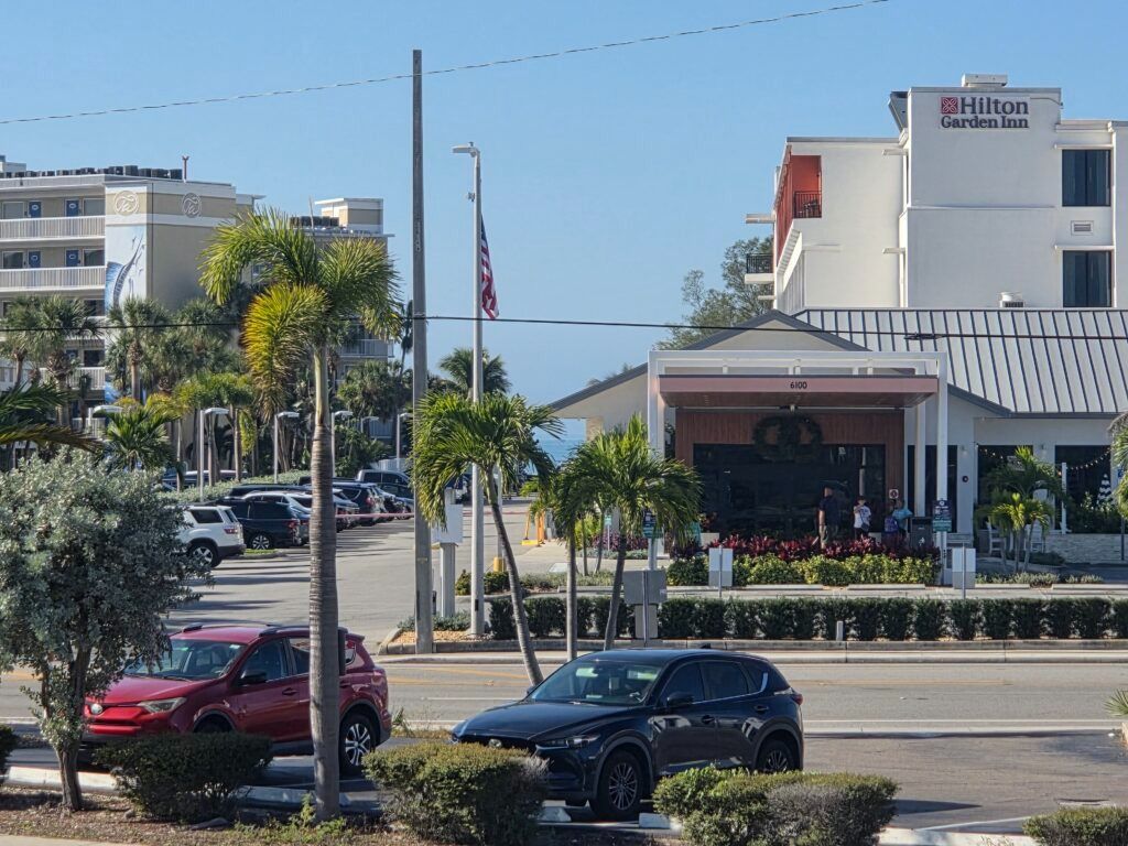 Palm-lined city street with cars passing and a white building across the road