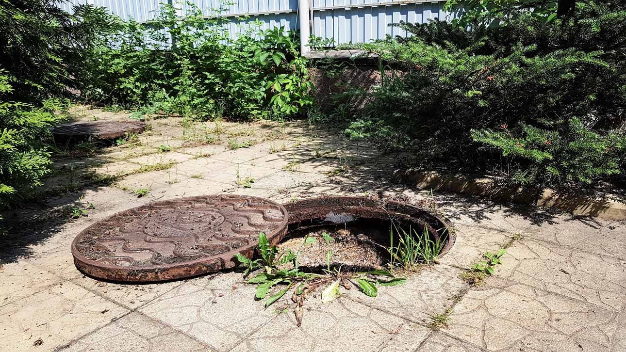 Open manhole in a concrete path, with the heavy cover off to the side, surrounded by shrubs.