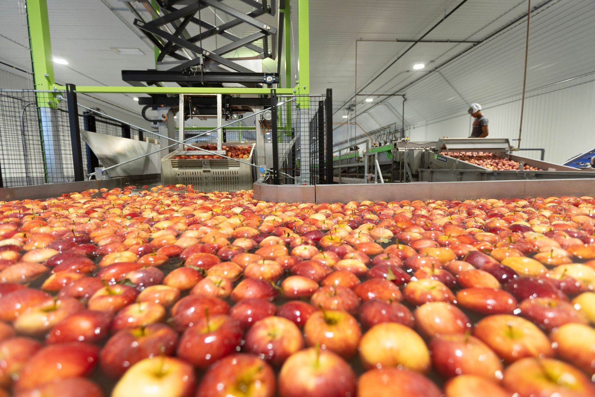 Sweet Cherry Grower, Ontario