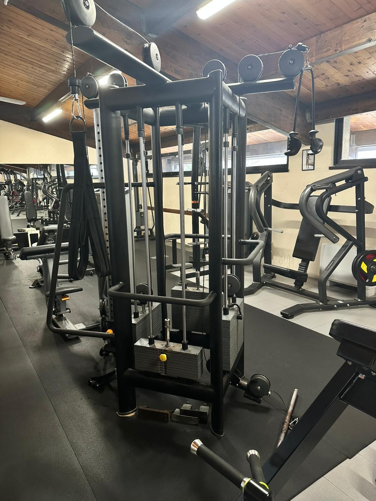 palestra