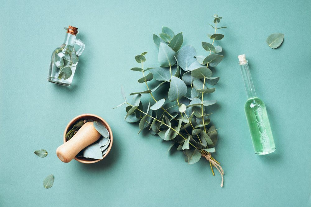 Bowl, Bottles Of Eucalyptus Essential Oil, Mortar, Bunch Of Fresh Eucalyptus Branches On Green Background — Julie Taylor Naturopath in Maryborough, QLD