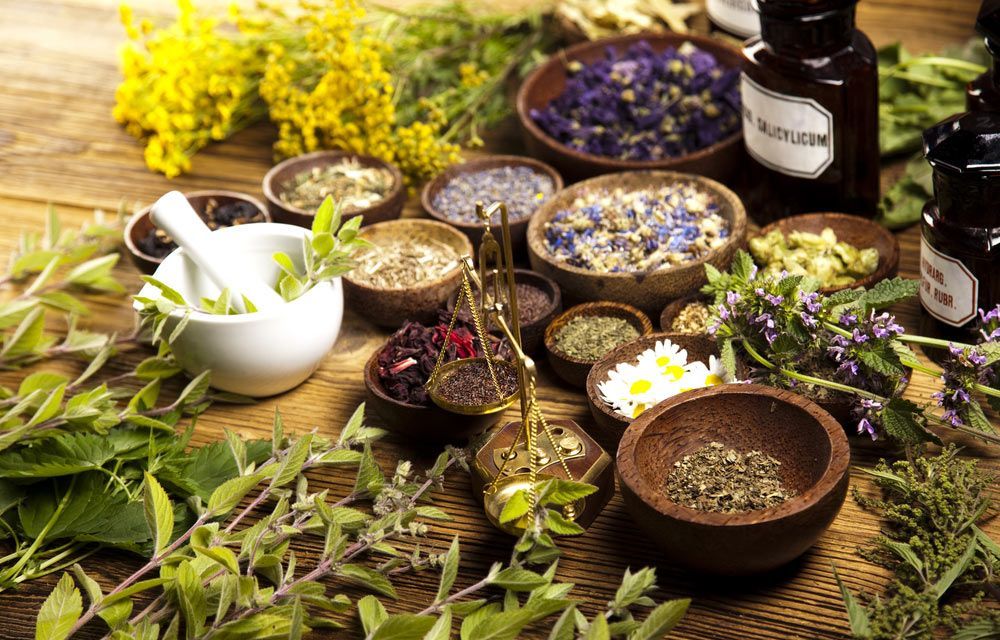 A Lot Of Herbs Alternative Medicine — Julie Taylor Naturopath in Hervey Bay, QLD