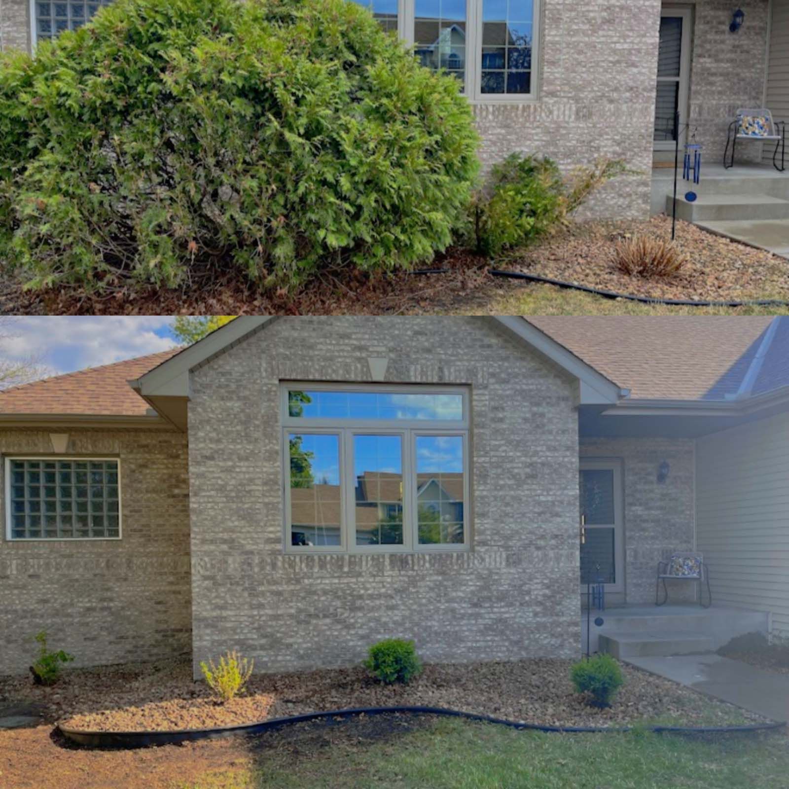 Before-and-after view of a house exterior showing a large overgrown bush removed and replaced with small, new shrubs.