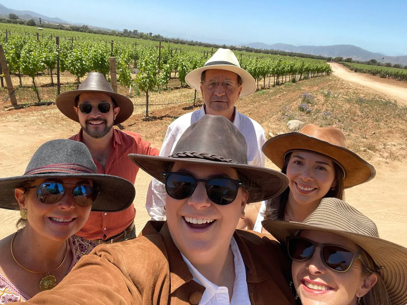 Seis personas sonrientes con sombreros de sol se toman una selfie en un viñedo en un día soleado.