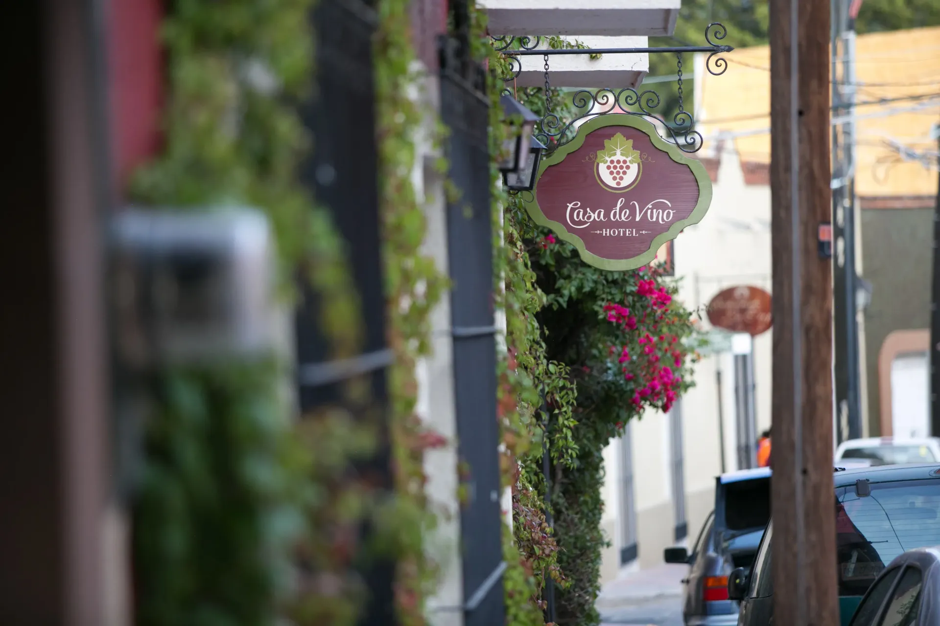 Narrow street with hanging shop signs, pink flowers, and parked cars along a sidewalk.