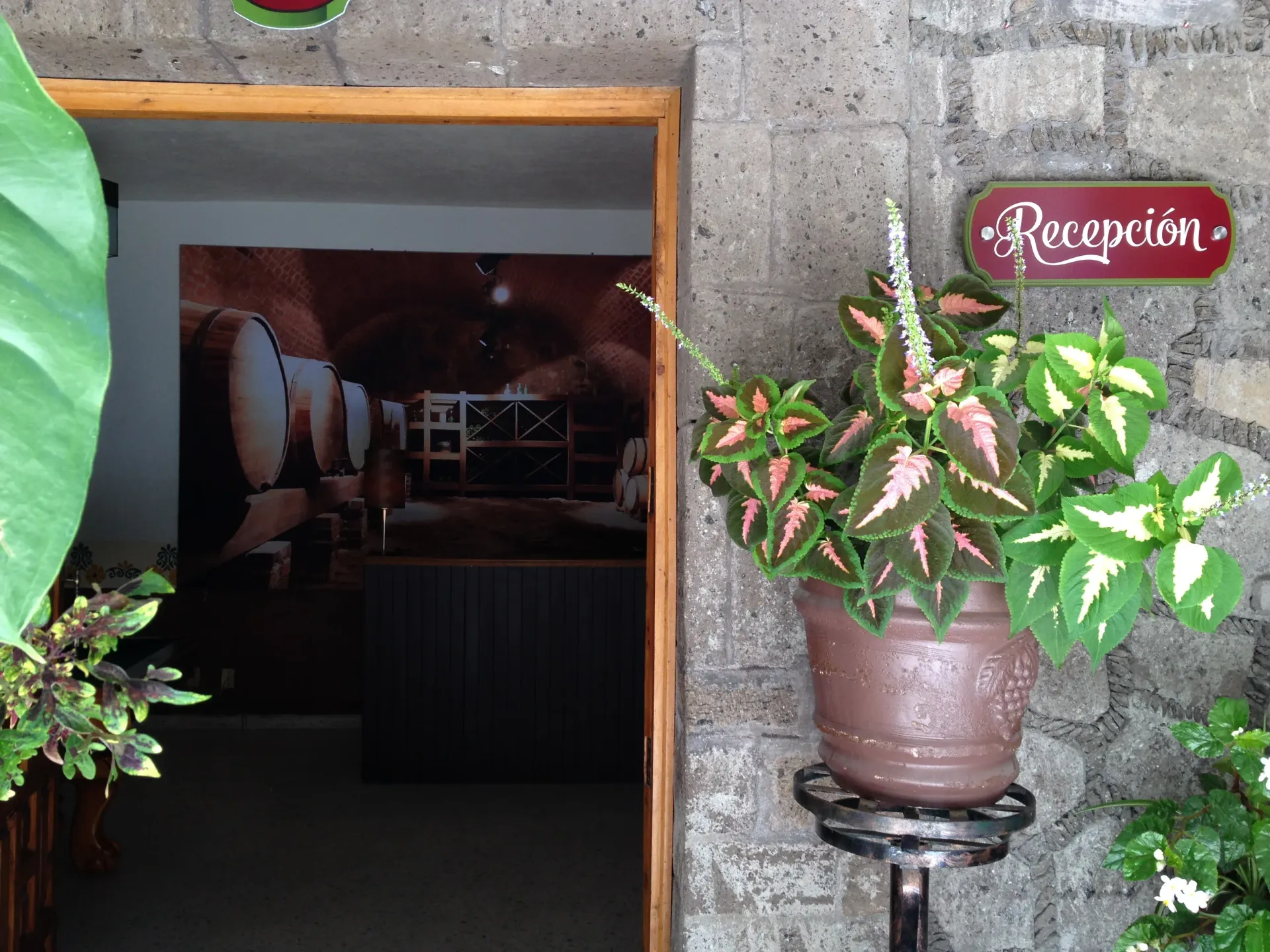 Entrada a una bodega de vinos tenuemente iluminada con barriles, plantas en macetas y un letrero rojo de 