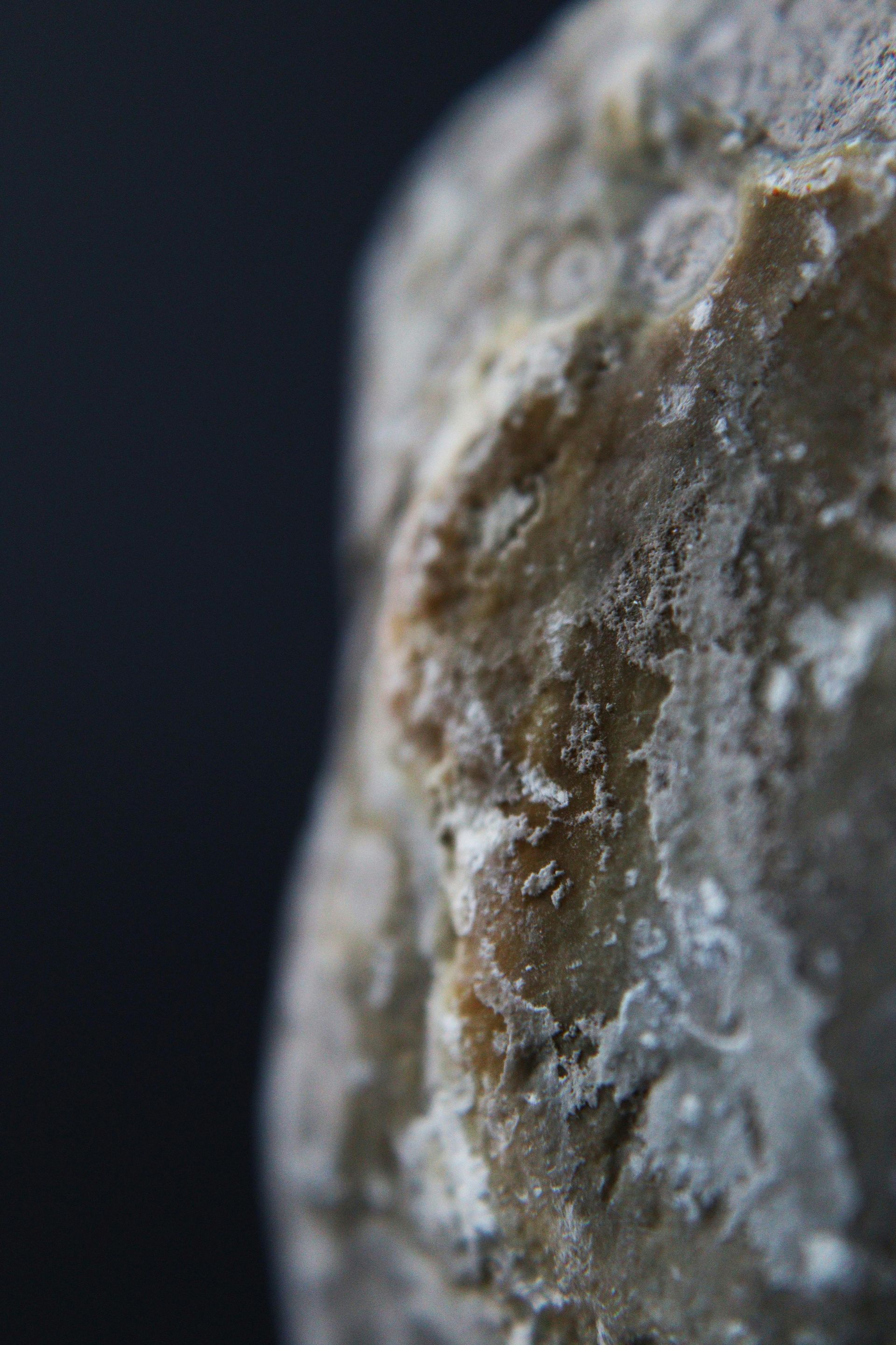 Close-up of a rough, weathered rock surface with white and brown textures against a dark background