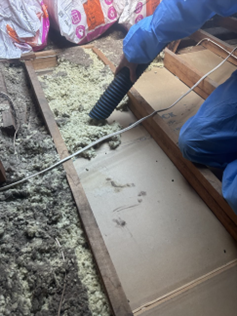 Checking Ceiling — Melbourne, VIC — Insulation Removals
